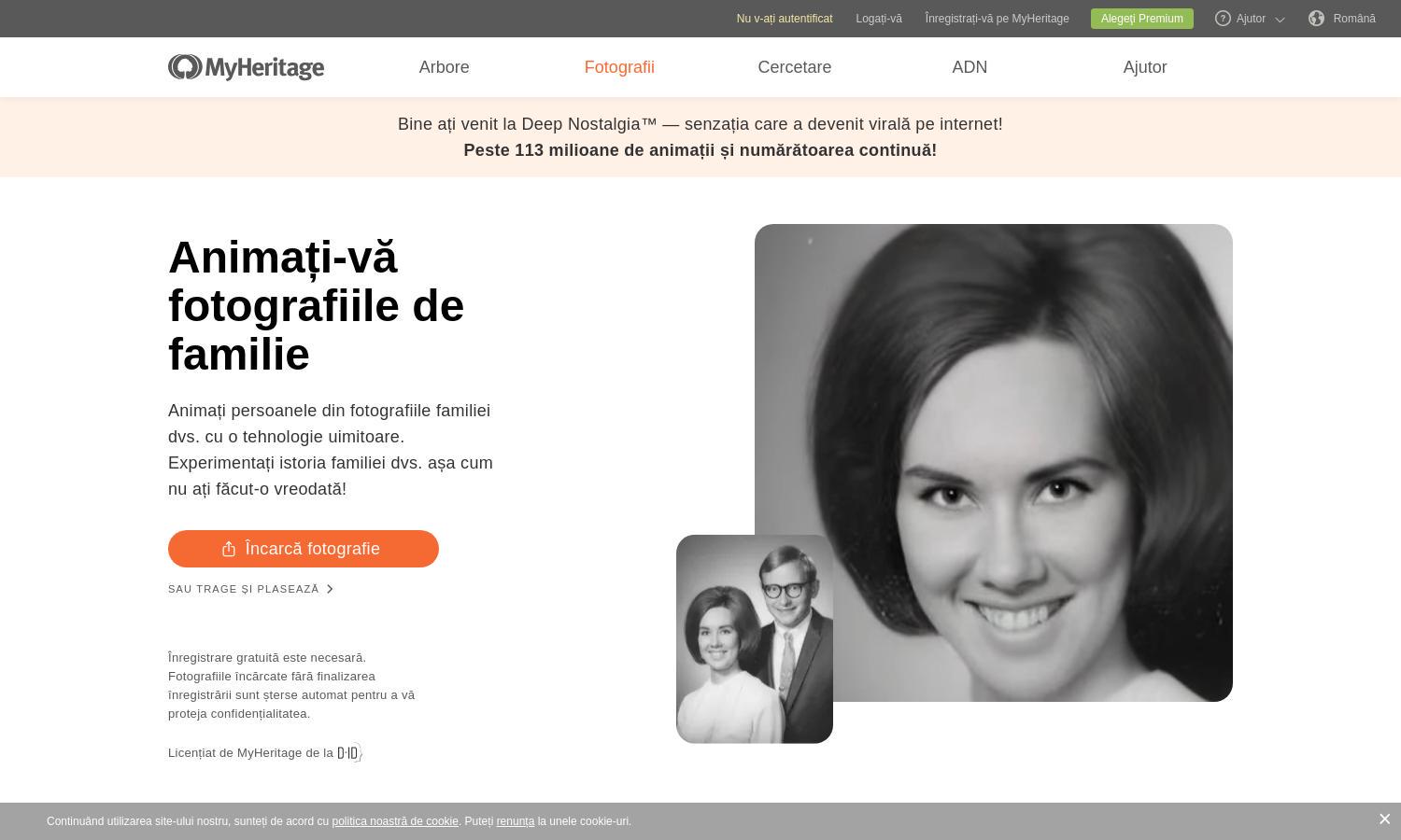 MyHeritage Website